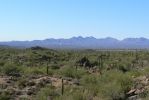 PICTURES/Goldfield Ovens Loop Trail/t_Across Desert to Fountain Hills Fountain1.JPG